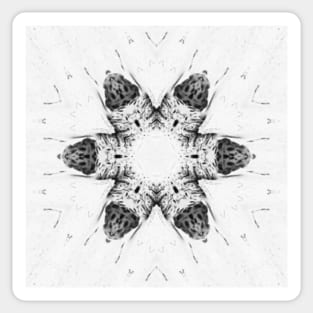 Symmetry in black and white Sticker